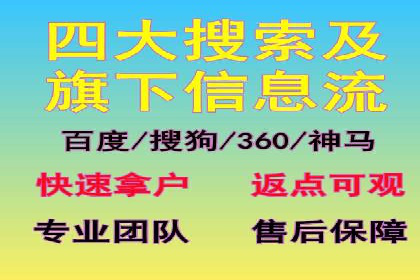 精准投放，高效转化——网站sem托管的胜利案例